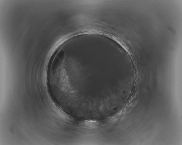 X0000111520055200907141516