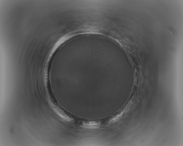 X0000111520056200907141516