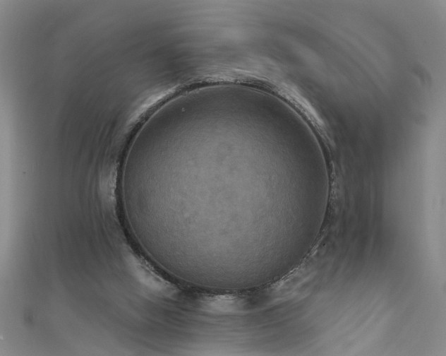 X0000111520058200907141516