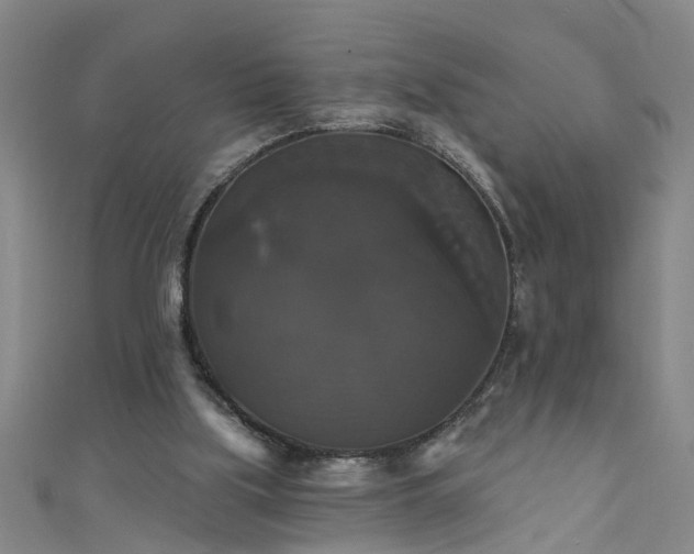 X0000111520059200907141516