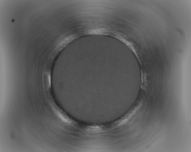 X0000111520061200907141516