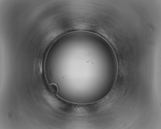 X0000111520062200907141516