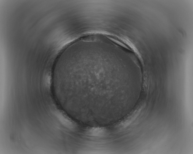 X0000111520063200907141516
