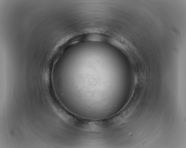 X0000111520064200907141516