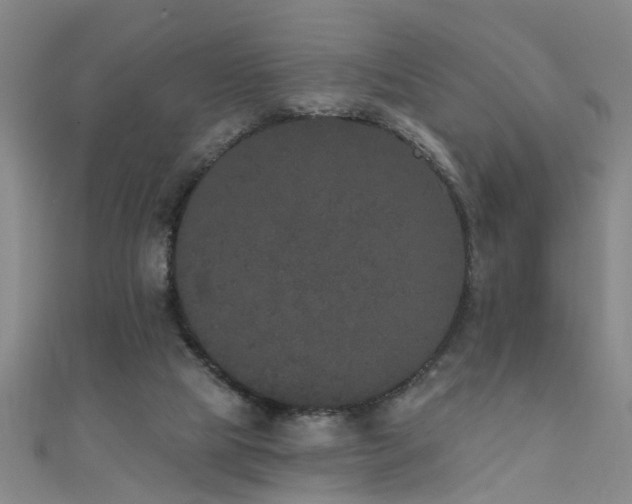 X0000111520065200907141516
