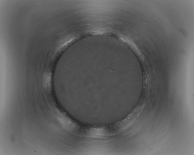X0000111520066200907141516