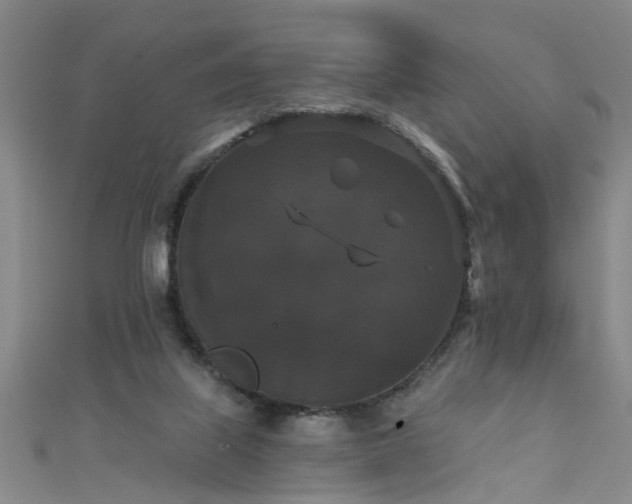 X0000111520067200907141516