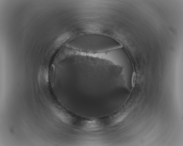 X0000111520068200907141516