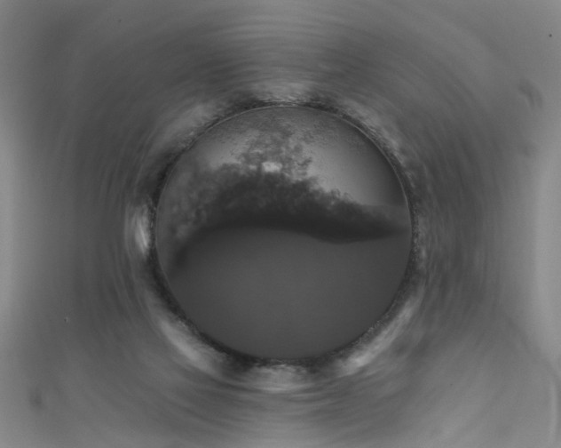 X0000111520069200907141516