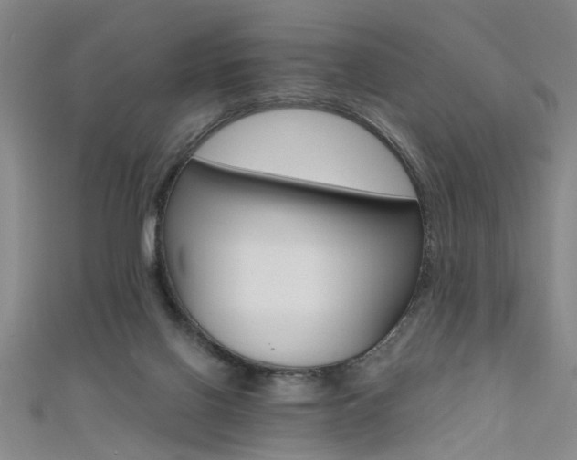 X0000111520070200907141516