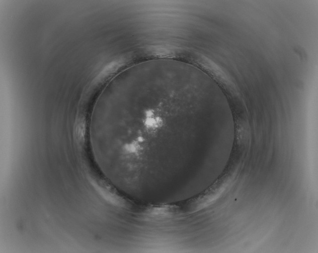 X0000111520072200907141516