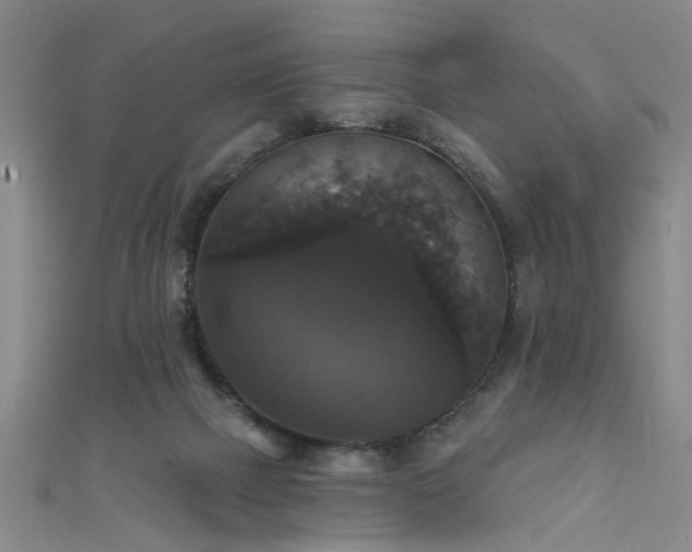 X0000111520073200907141516