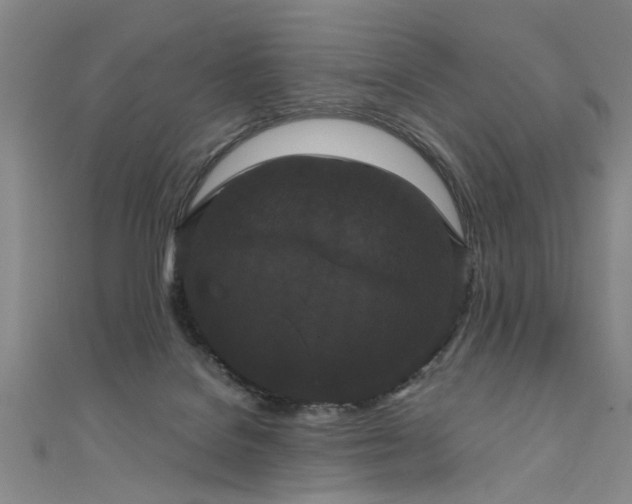 X0000111520076200907141516