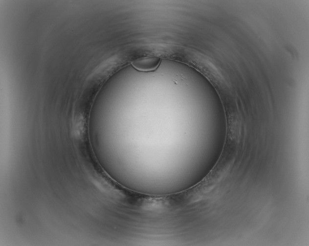 X0000111520077200907141516