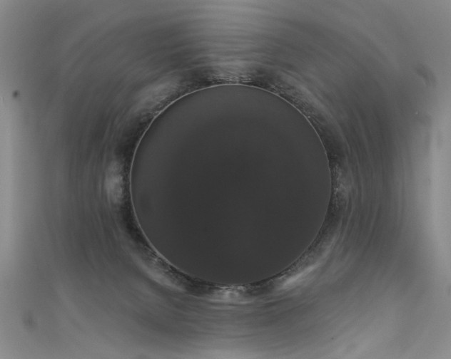 X0000111520080200907141516