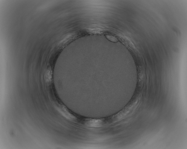 X0000111520081200907141516