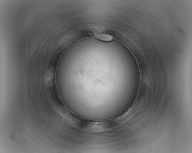 X0000111520082200907141516
