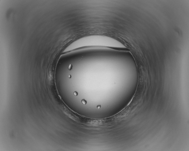 X0000111520084200907141516