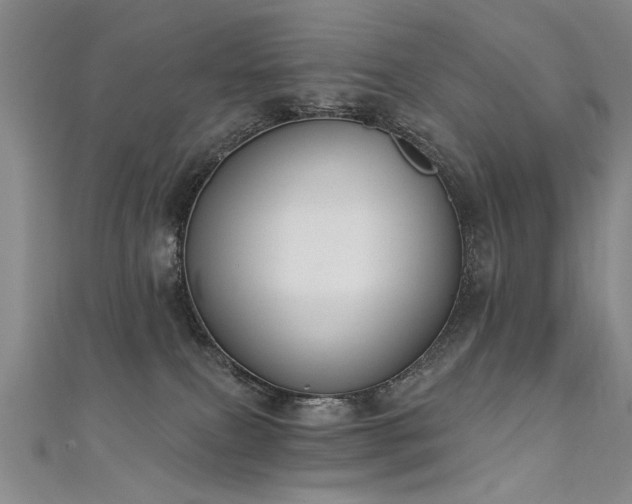 X0000111520087200907141516