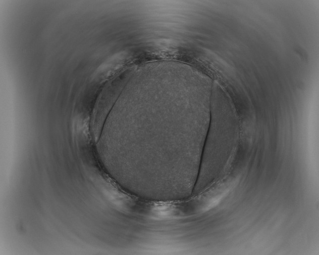 X0000111520088200907141516