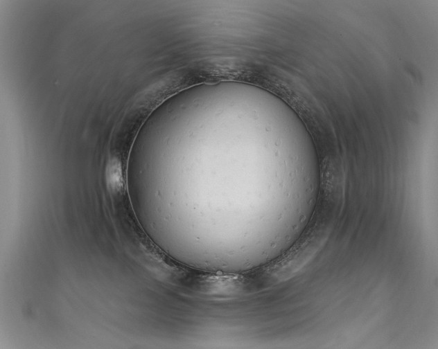 X0000111520089200907141516
