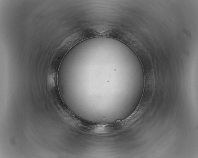 X0000111520090200907141516