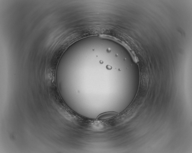 X0000111520091200907141516