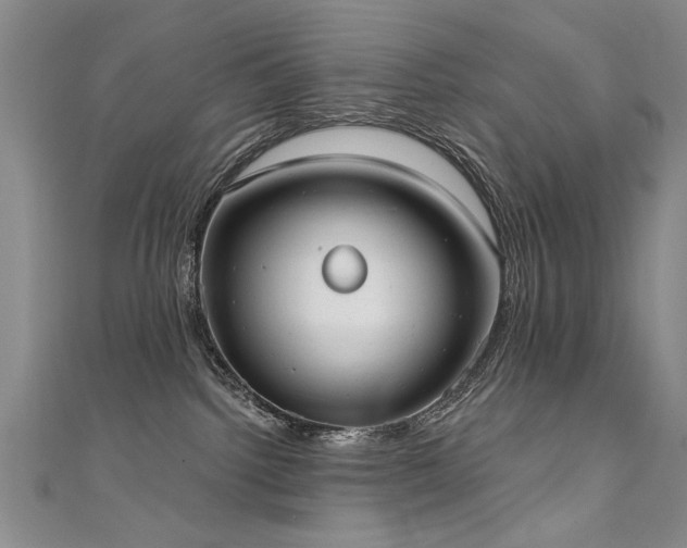 X0000111520092200907141516