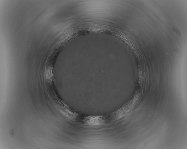 X0000111520093200907141516