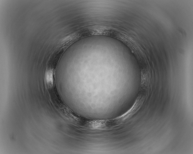 X0000111520094200907141516