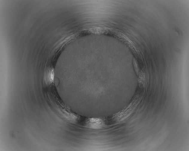 X0000111520095200907141516