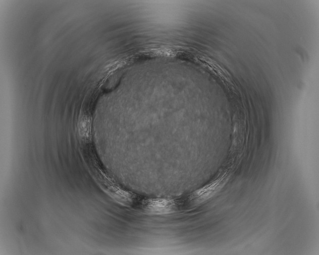 X0000111520096200907141516