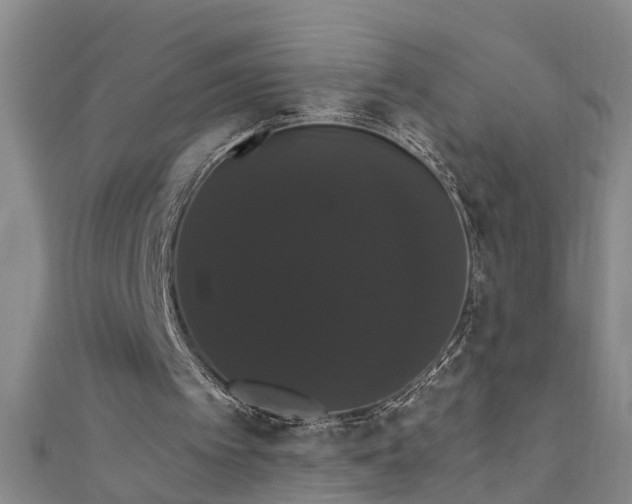 X0000111520097200907141516