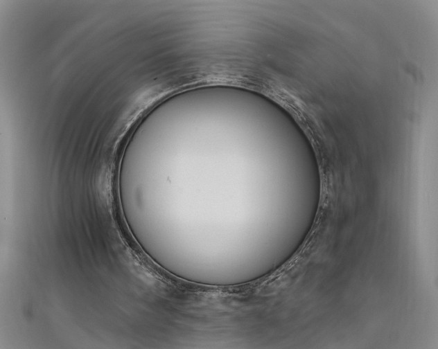 X0000111520098200907141516