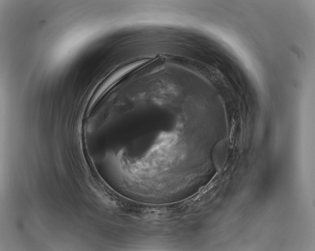 X0000111520099200907141516