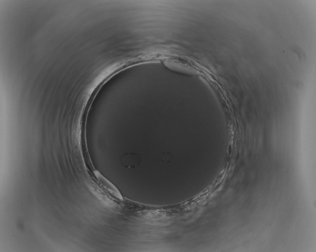 X0000111520100200907141516