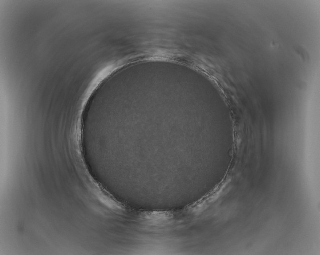 X0000111520102200907141516
