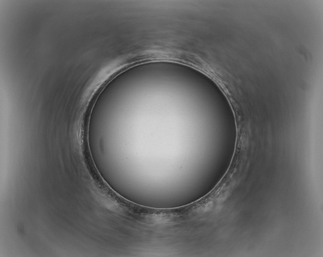 X0000111520103200907141516
