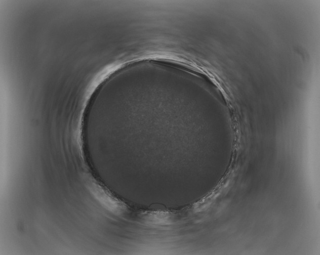 X0000111520104200907141516