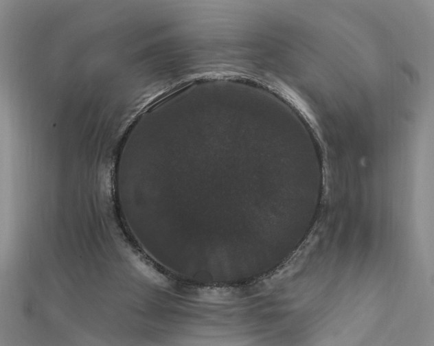X0000111520105200907141516