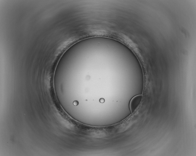 X0000111520106200907141516