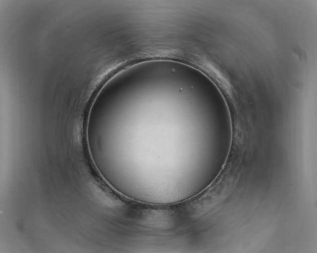 X0000111520107200907141516