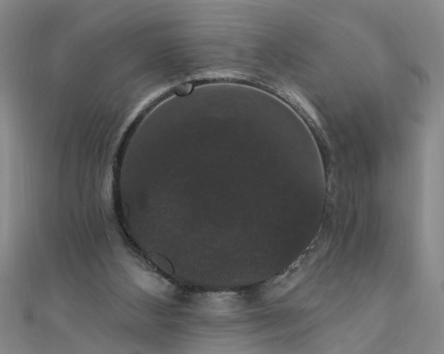 X0000111520108200907141516
