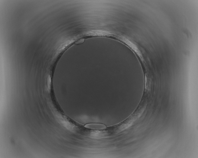 X0000111520109200907141516
