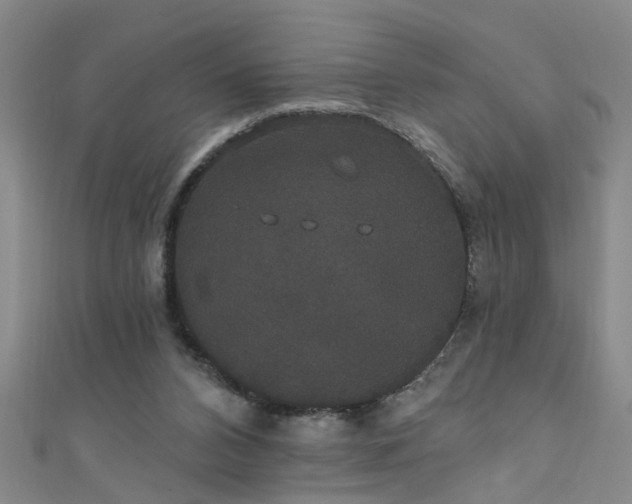 X0000111520112200907141516