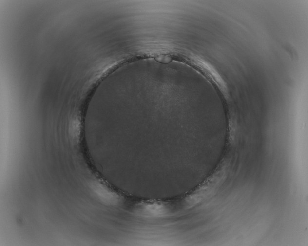 X0000111520113200907141516