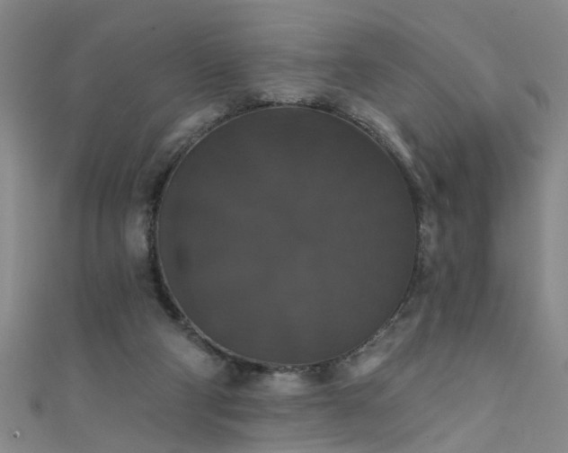 X0000111520114200907141516