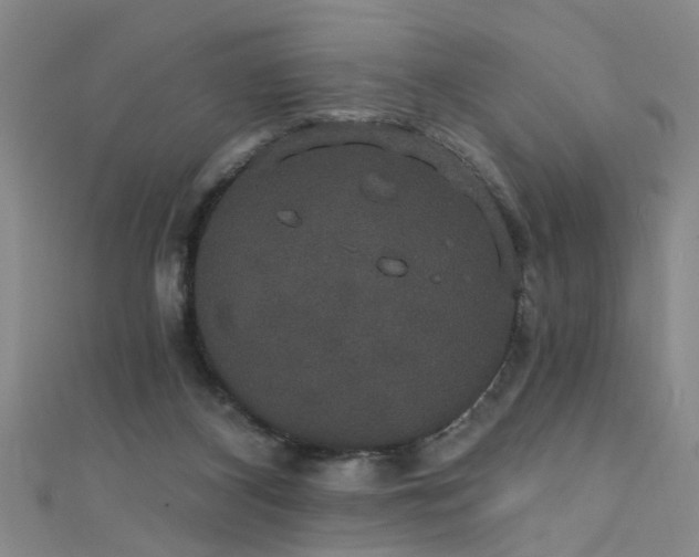 X0000111520116200907141515