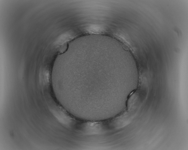 X0000111520117200907141515