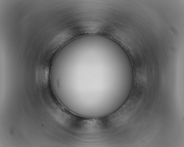 X0000111520118200907141515